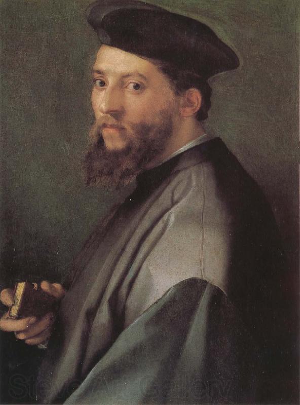 Andrea del Sarto Portrait of ecclesiastic France oil painting art